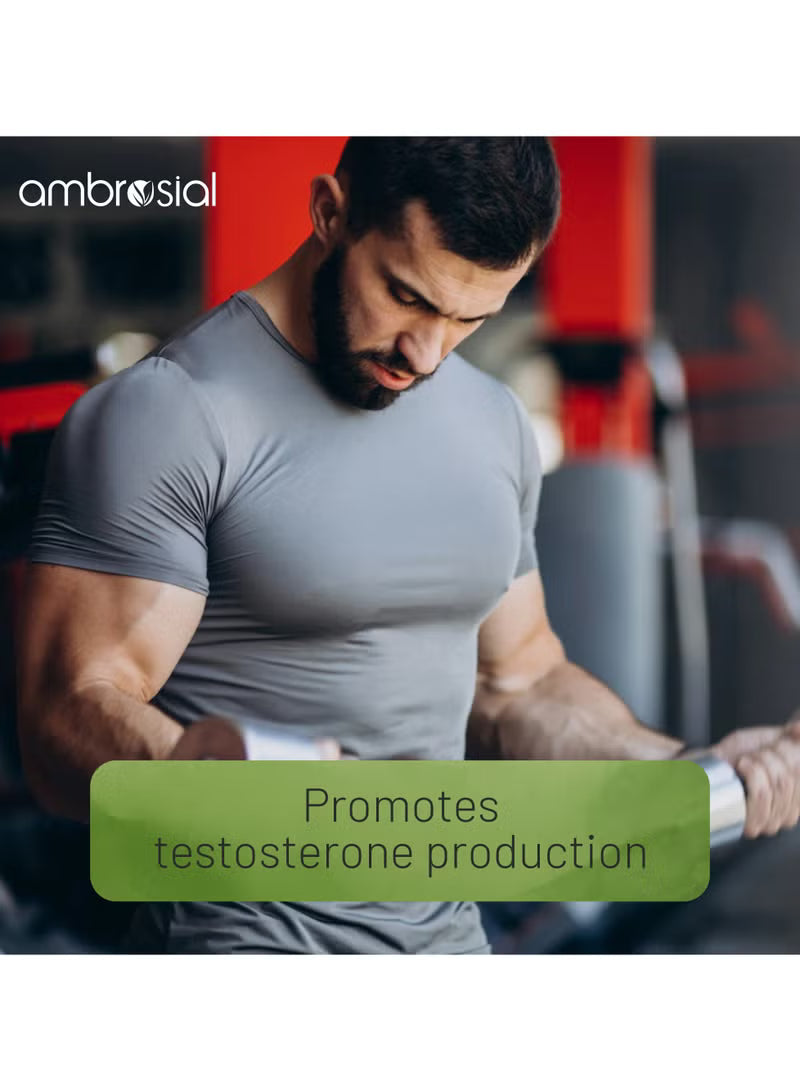 Testoboost Herbal Testosterone Booster Promotes Power And Strength 60 Capsules